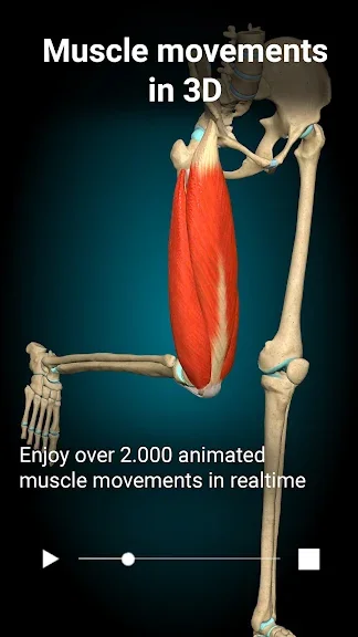 Anatomy Learning - 3D анатомічний атлас screenshot