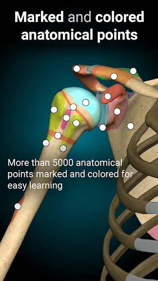 Anatomy Learning - 3D анатомічний атлас screenshot
