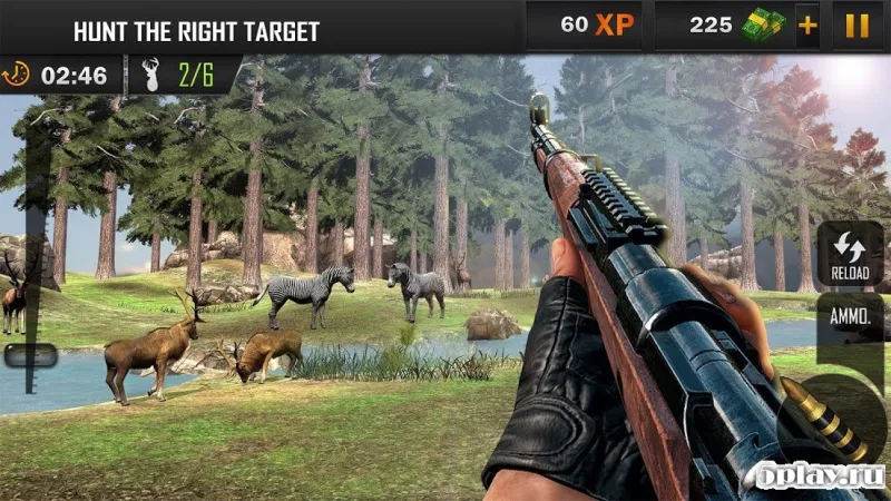 Animal Hunting Sniper Shooting Game 2020 v1.7 screenshot 4