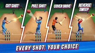 Batting Hero : Cricket Game screenshot