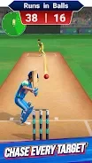 Batting Hero : Cricket Game screenshot