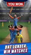 Batting Hero : Cricket Game screenshot