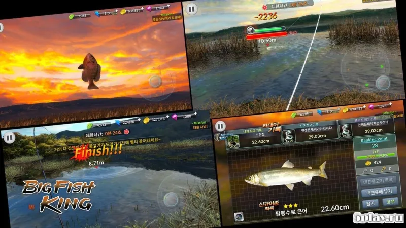 BIGFISH KING screenshot 4