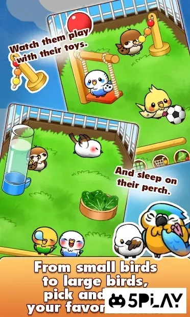 Bird Life -Жизнь птиц- 1.6.9 screenshot 3