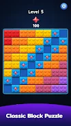 Brick Blast Puzzle screenshot