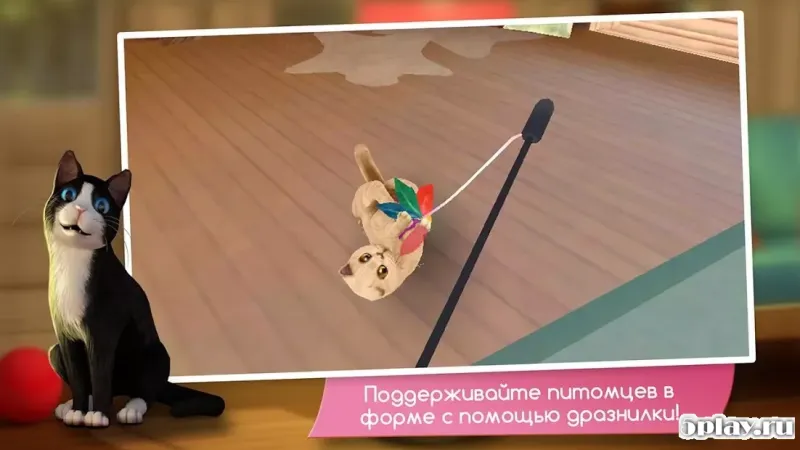 CatHotel - Мой приют для кошек 2.1.10 screenshot 4