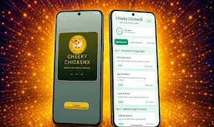 Cheeky ChickenX screenshot