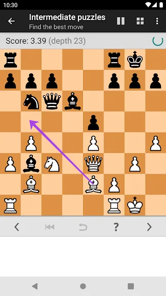 Chess Tactics Pro (Puzzles) screenshot