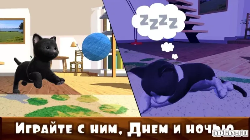 Daily Kitten : виртуальный кот 3.4 screenshot 3