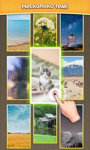 Слияние кости 1.0.4 screenshot 3