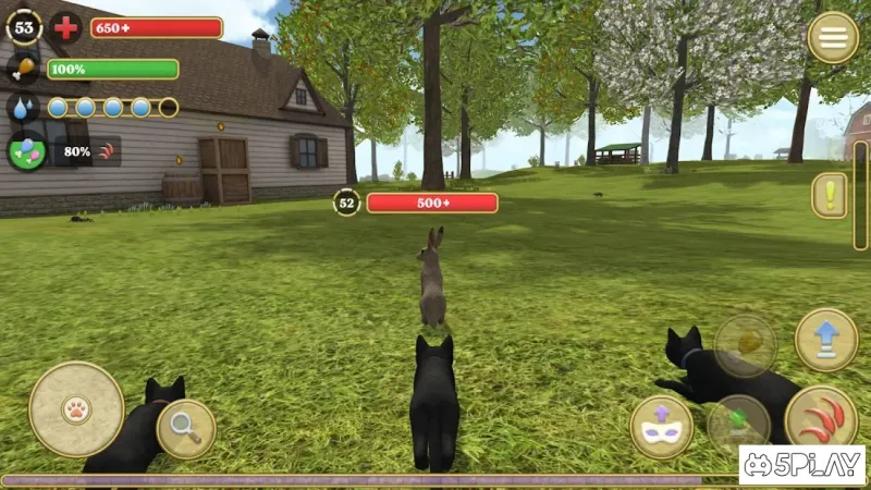 Симулятор Кота и Кошки 1.09 screenshot 1