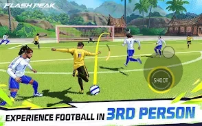 Flash Peak screenshot