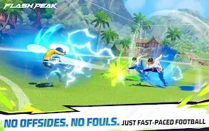 Flash Peak screenshot