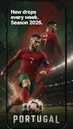 Football Live Wallpaper HD screenshot