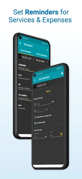 Fuel Buddy screenshot