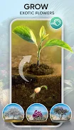 Garden Joy: Exterior Designer screenshot