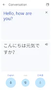 Google Translate screenshot