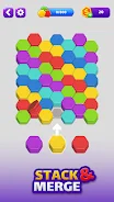 Hexa Puzzle screenshot