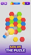 Hexa Puzzle screenshot