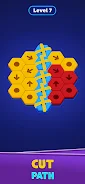 Hexa Snag screenshot