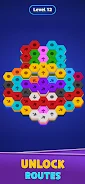 Hexa Snag screenshot