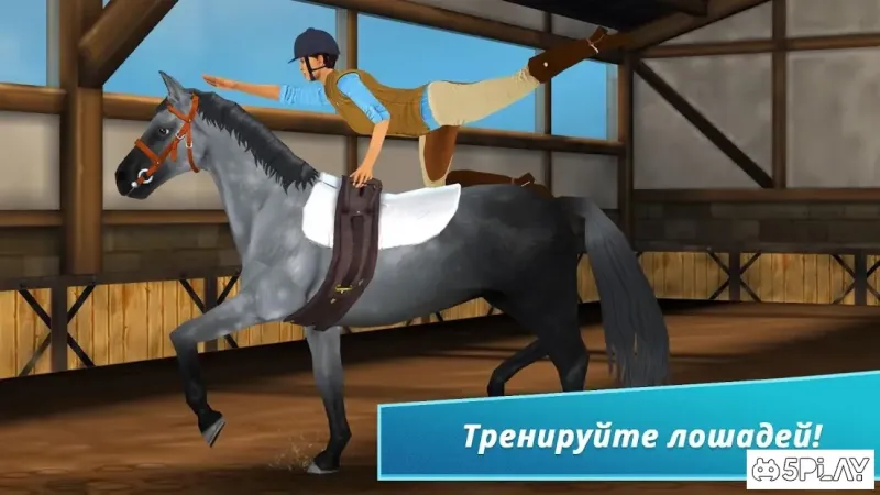 Horse Hotel - Уход за лошадьми 1.8.1.152 screenshot 1