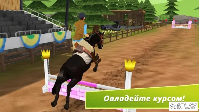 Horse Hotel - Уход за лошадьми 1.8.1.152 screenshot 4