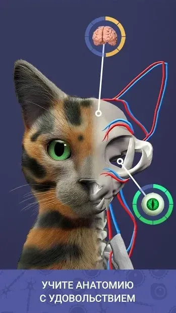 Idle Pet - Create cell by cell 5.7 screenshot 4