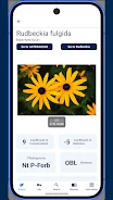 Michigan Flora screenshot