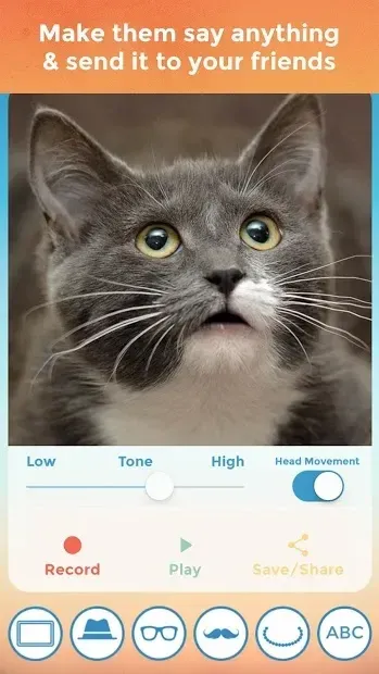 My Talking Pet screenshot 1