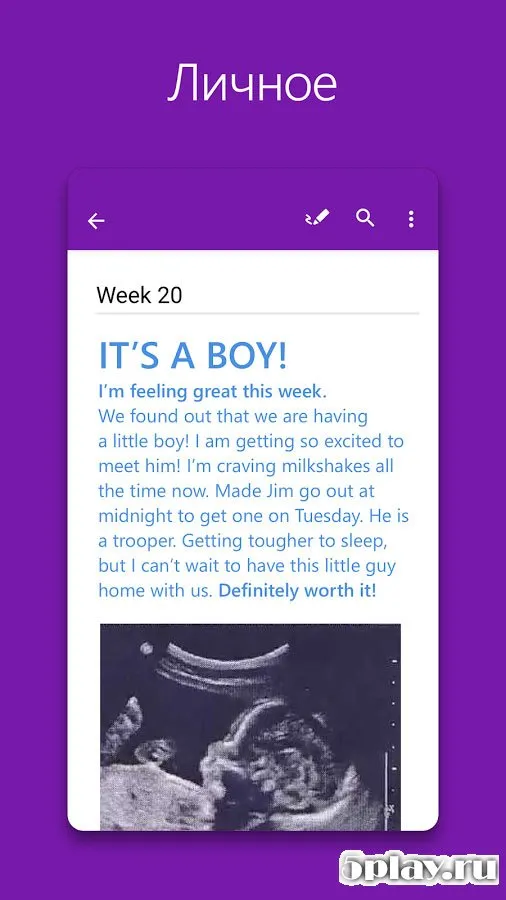 OneNote screenshot 4