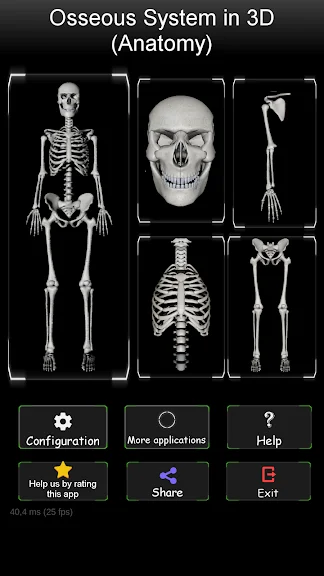 Osseous System 3D (анатомія) screenshot