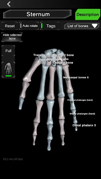 Osseous System 3D (анатомія) screenshot