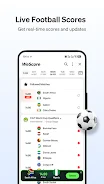 Phoenix Browser screenshot