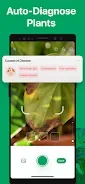 PictureThis - Plant Identifier screenshot