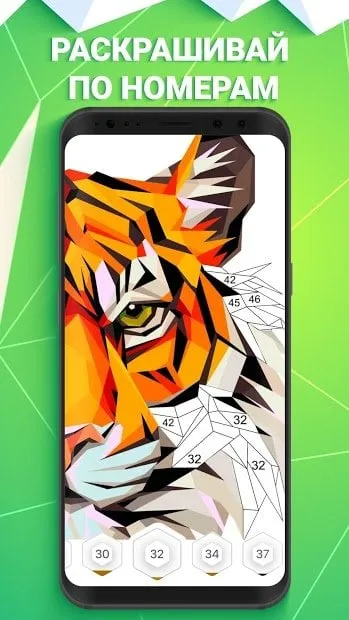POLYGON: Раскраска по номерам с яркими картинками 1.2.2 screenshot 1