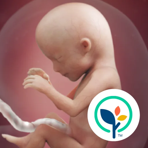 Pregnancy Tracker screenshot