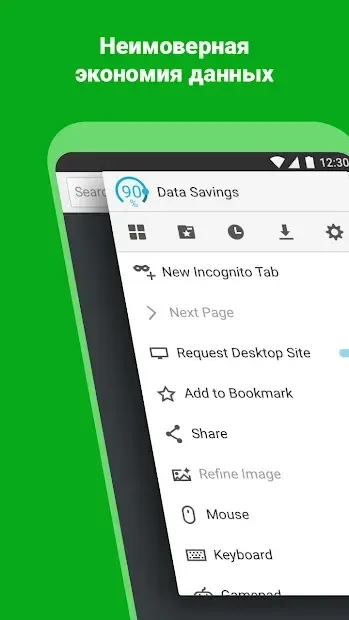 Puffin Web Browser 9.1.0.50541 screenshot 2