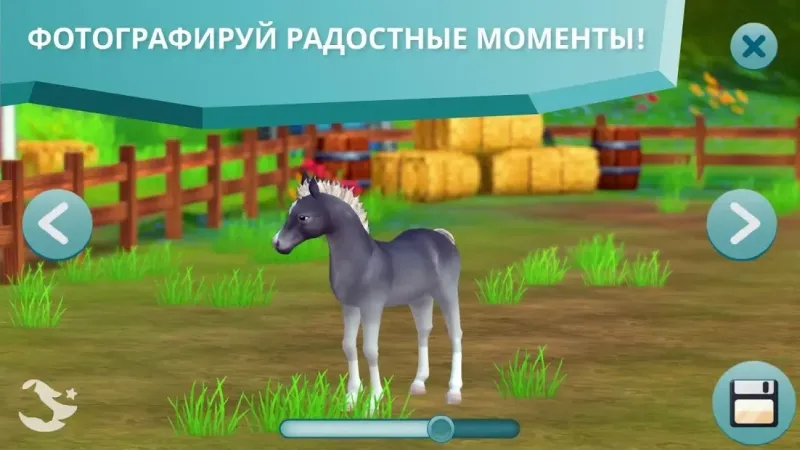Star Stable Horses 2.83.0 screenshot 4