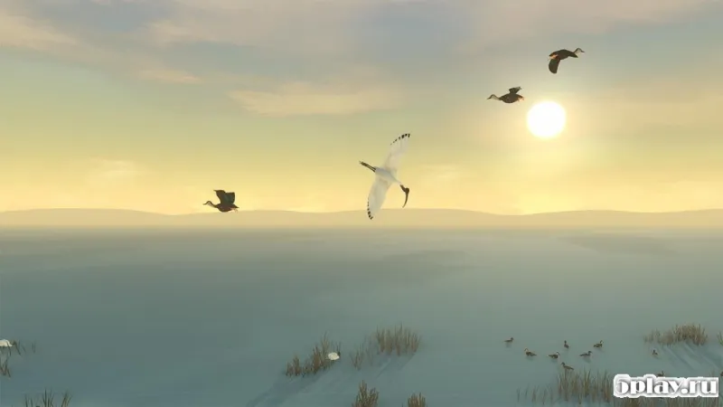 Storm Boy screenshot 2