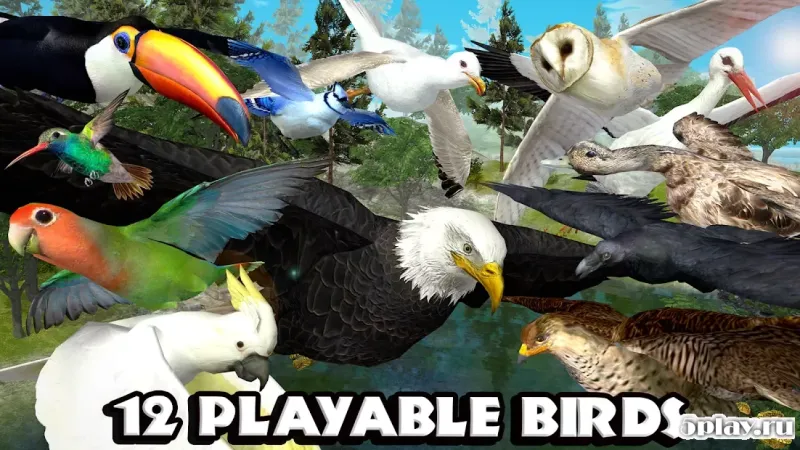 Ultimate Bird Simulator screenshot 1