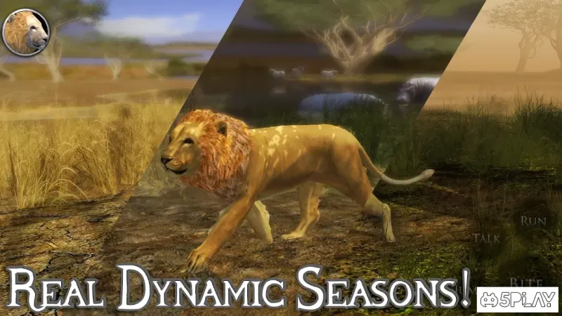 Ultimate Lion Simulator 2 v3.0 screenshot 3