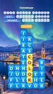 Word Town: Word Search Puzzles screenshot