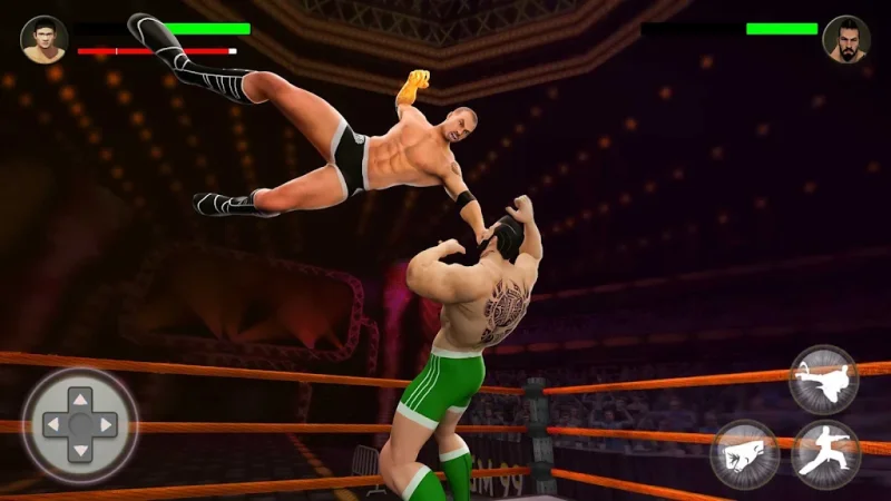 World Tag Team Wrestling Revolution Championship screenshot