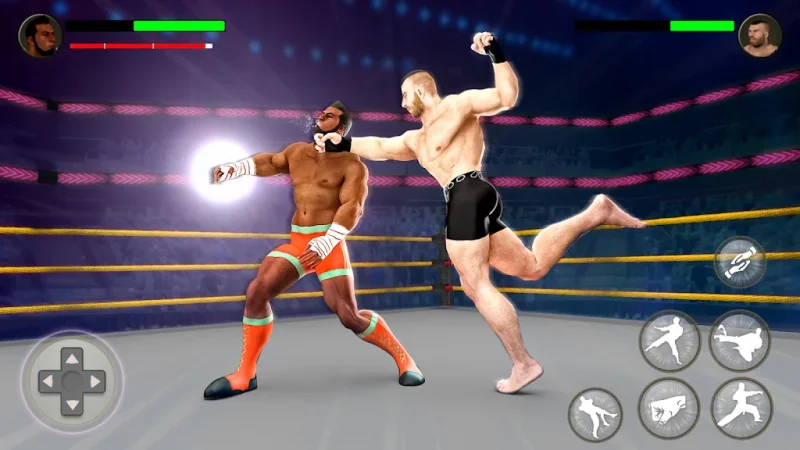 World Tag Team Wrestling Revolution Championship screenshot