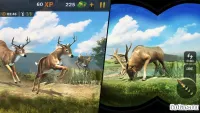 Hunting World: Deer Hunter Sniper Shooting 1.0.7