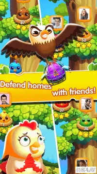 Chicken Splash 2 - Collect Eggs & Feed Babies 8.1