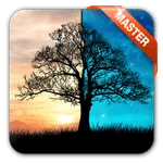 Dream Night Pro Live Wallpaper