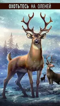 DEER HUNTER 5.2.4