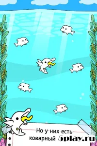 Dolphin Evolution 1.0